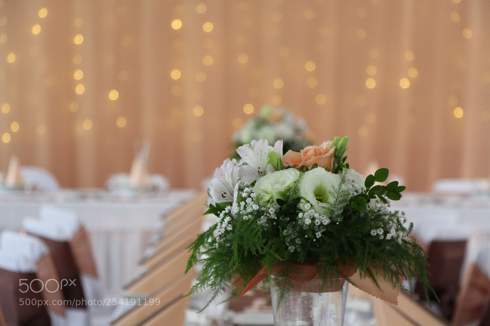 Canon EOS 700D (EOS Rebel T5i / EOS Kiss X7i) sample photo. Img photography