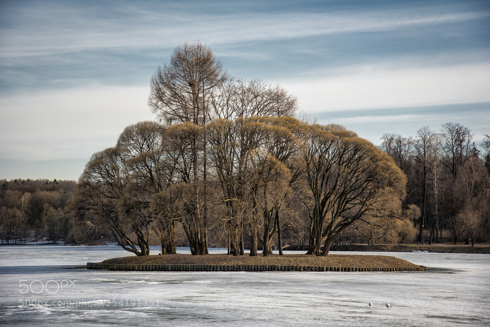 Nikon D810 sample photo. Winterly spring photography