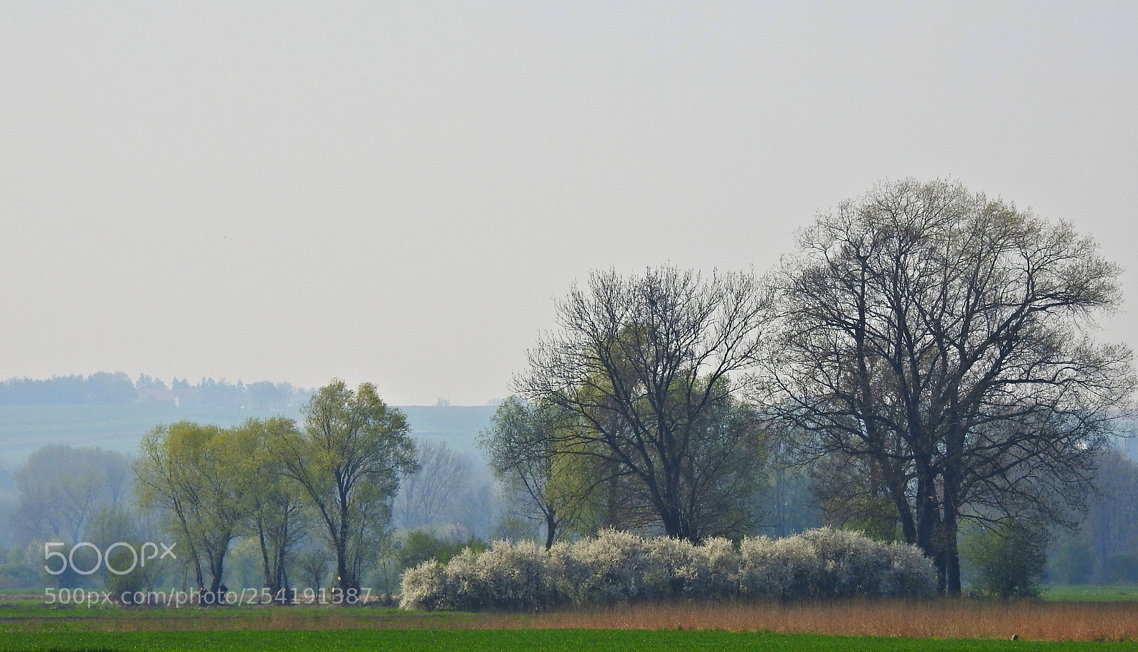 Nikon Coolpix P900 sample photo. Auenland photography