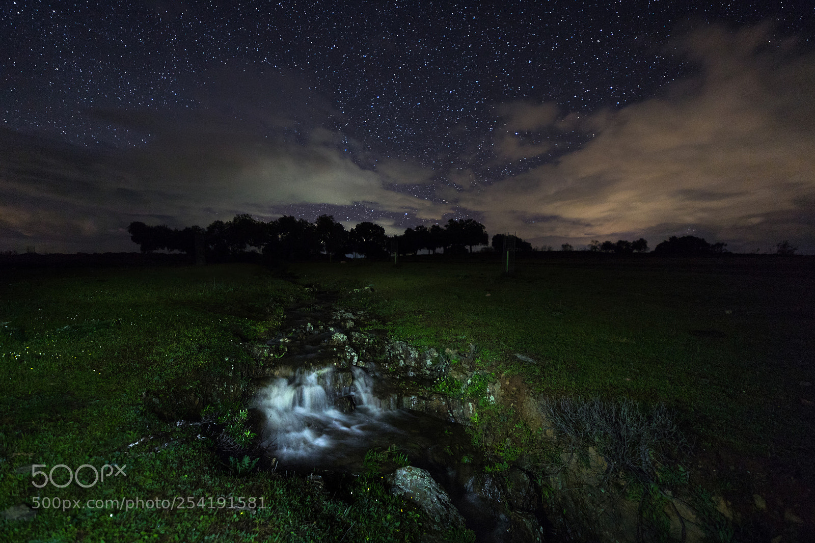 Canon EOS 6D Mark II sample photo. Santiba ez el bajo photography