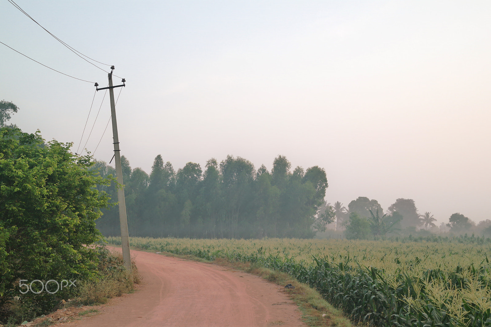 Samsung NX2000 sample photo. Morning ride , belthur village photography