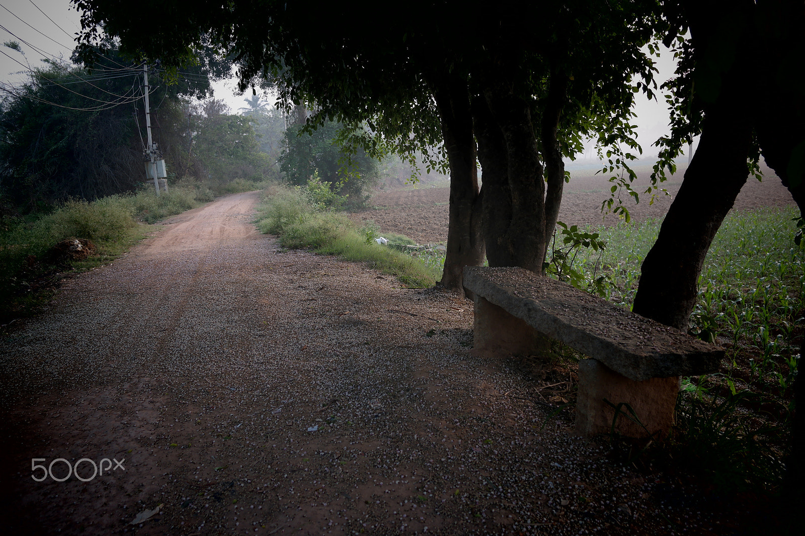 Samsung NX2000 sample photo. Morning ride , belthur village photography
