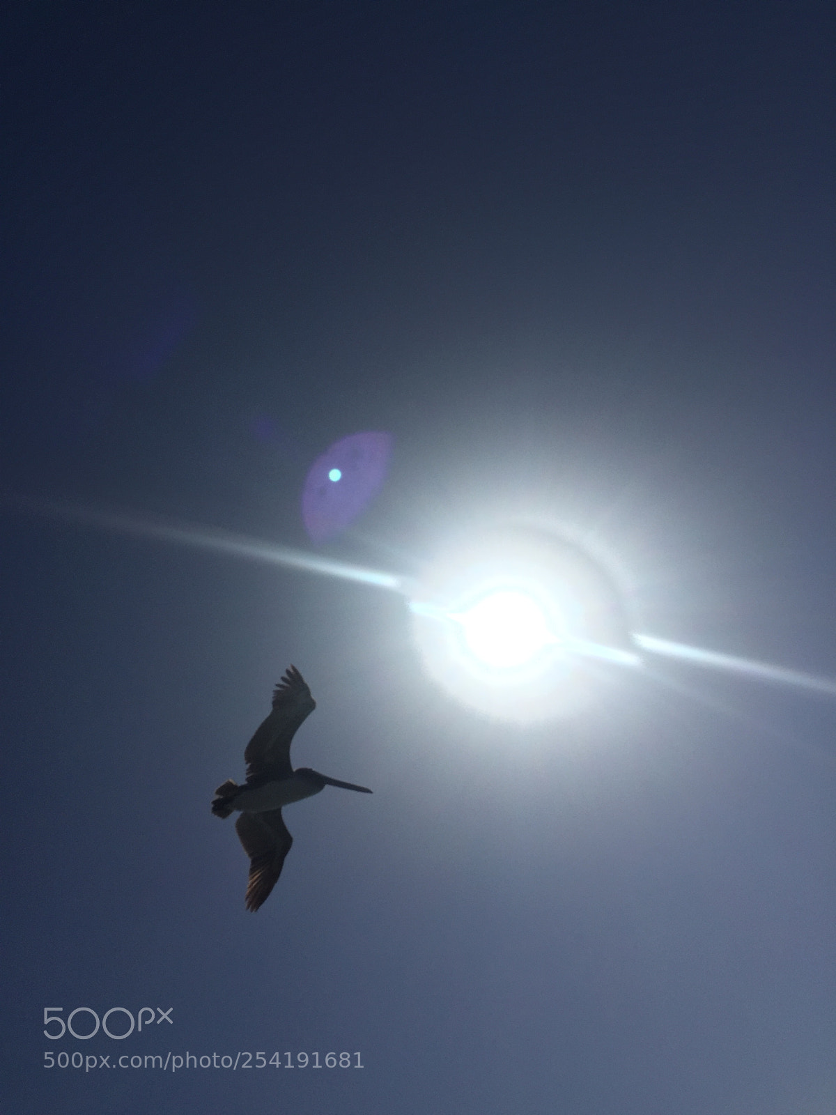 Apple iPhone 6 sample photo. Laguna beach photography
