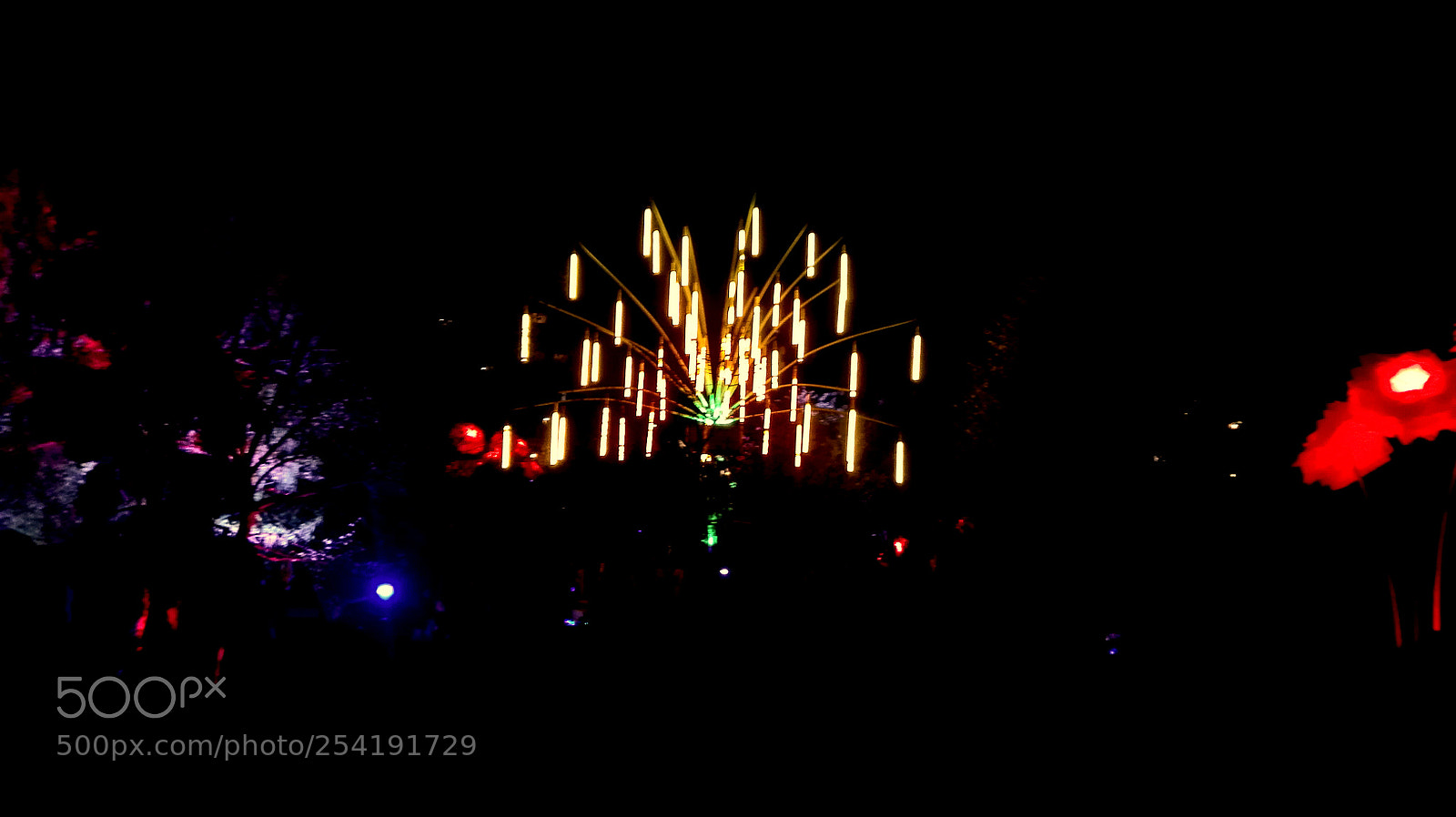 HUAWEI P8 Lite sample photo. The tree of light photography