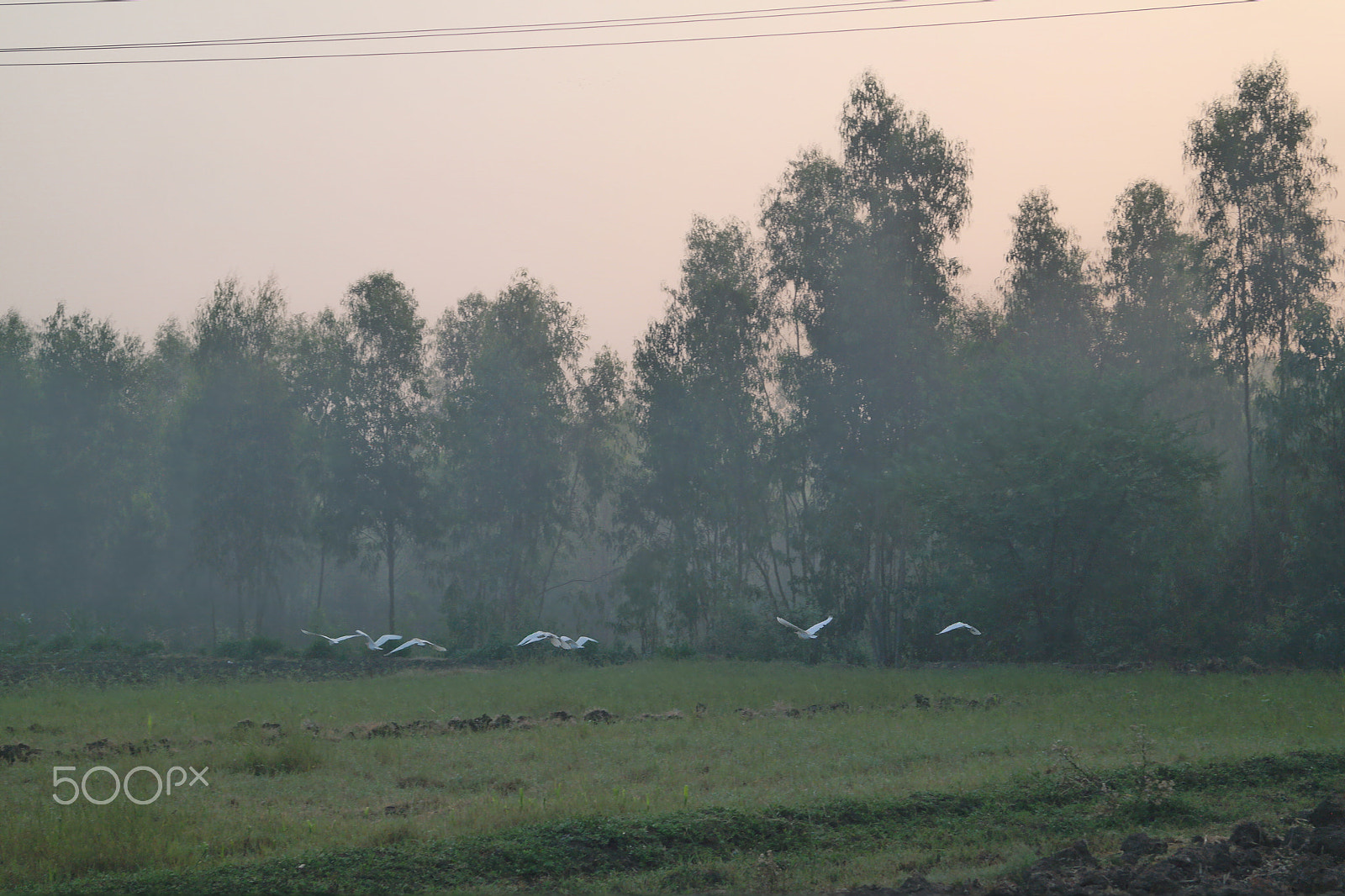 Samsung NX2000 sample photo. Morning ride , belthur village photography