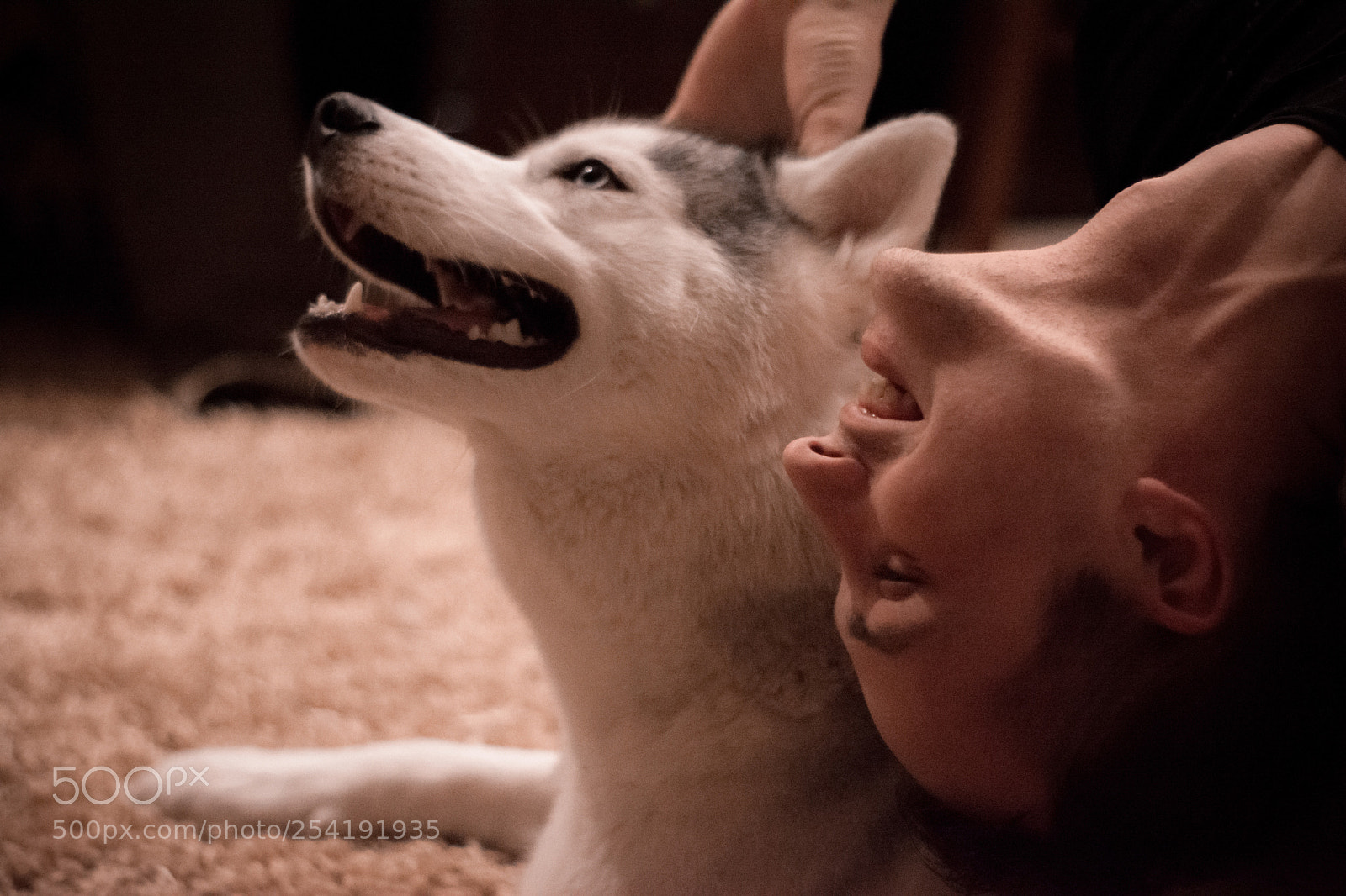 Nikon D5200 sample photo. Untitled photography