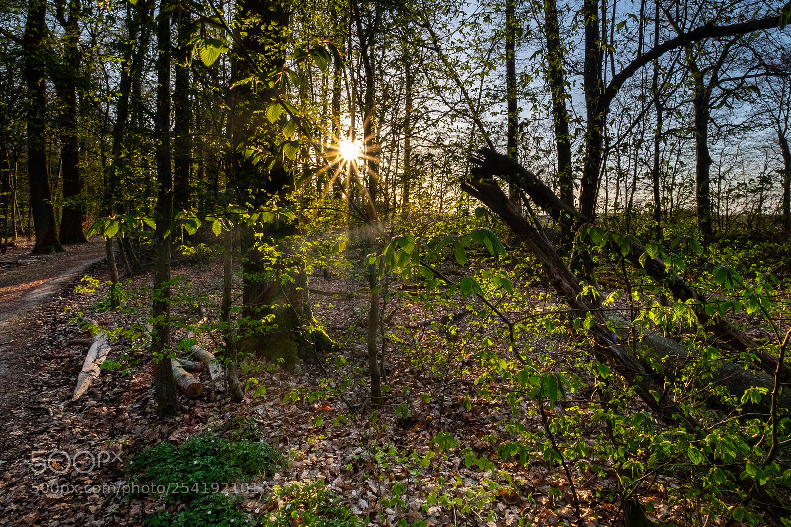 Fujifilm X-T1 sample photo. Sunset photography