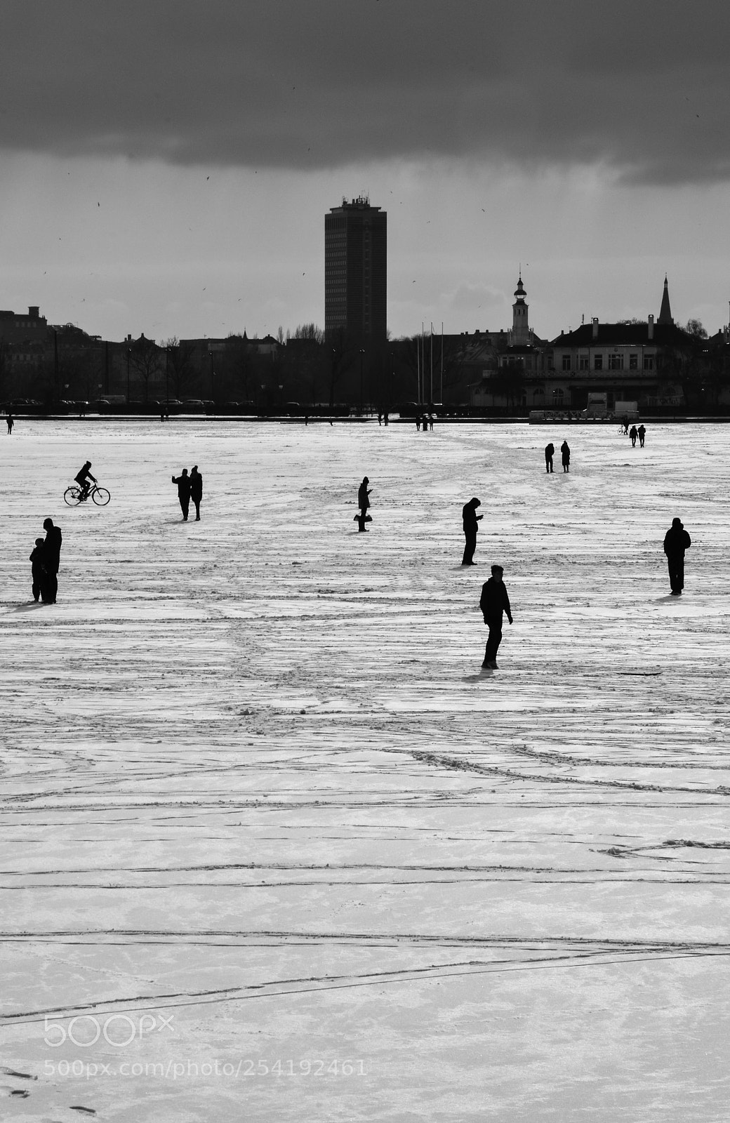 Nikon D5500 sample photo. Frozen photography