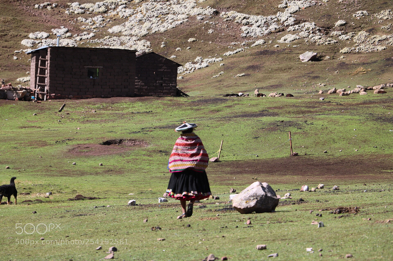 Canon EOS 750D (EOS Rebel T6i / EOS Kiss X8i) sample photo. Women, peru  photography