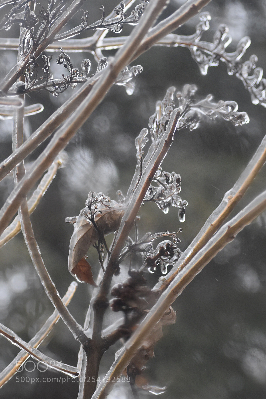 Nikon D3400 sample photo. Remnants photography