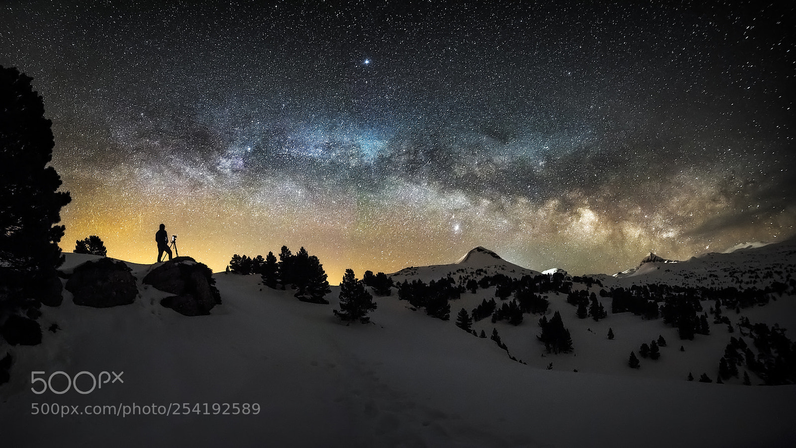 Nikon D810 sample photo. 9027. photopiller attitude. photography