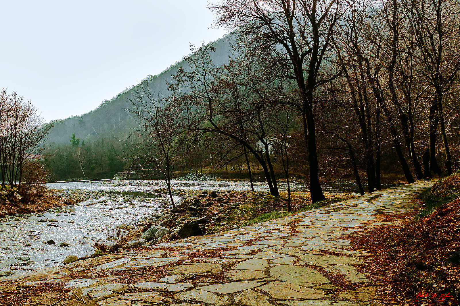 Canon EOS 77D (EOS 9000D / EOS 770D) sample photo. River photography