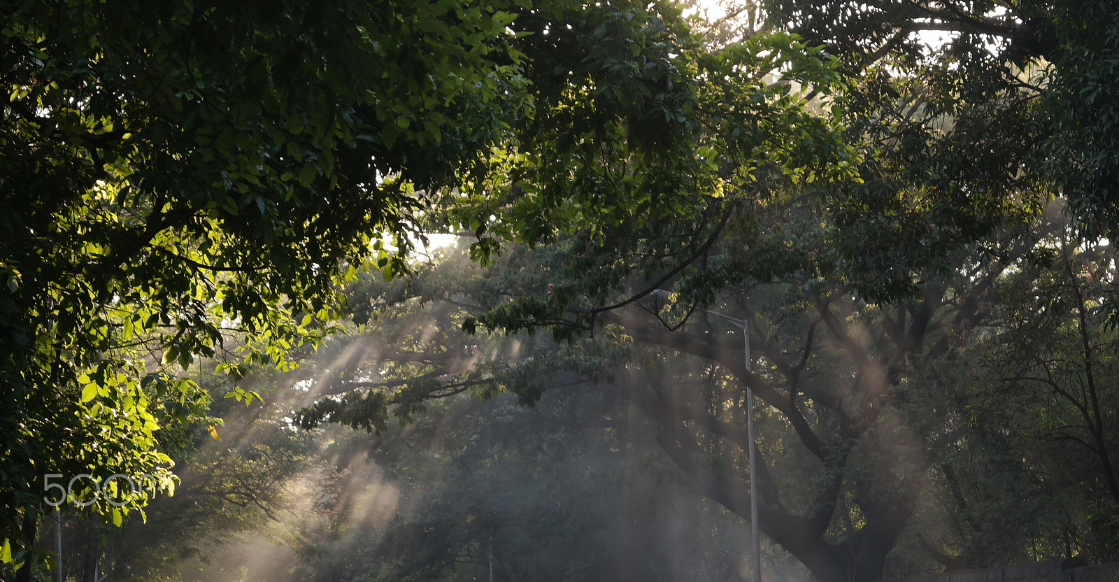 Samsung NX2000 sample photo. Morning ride , belthur village photography