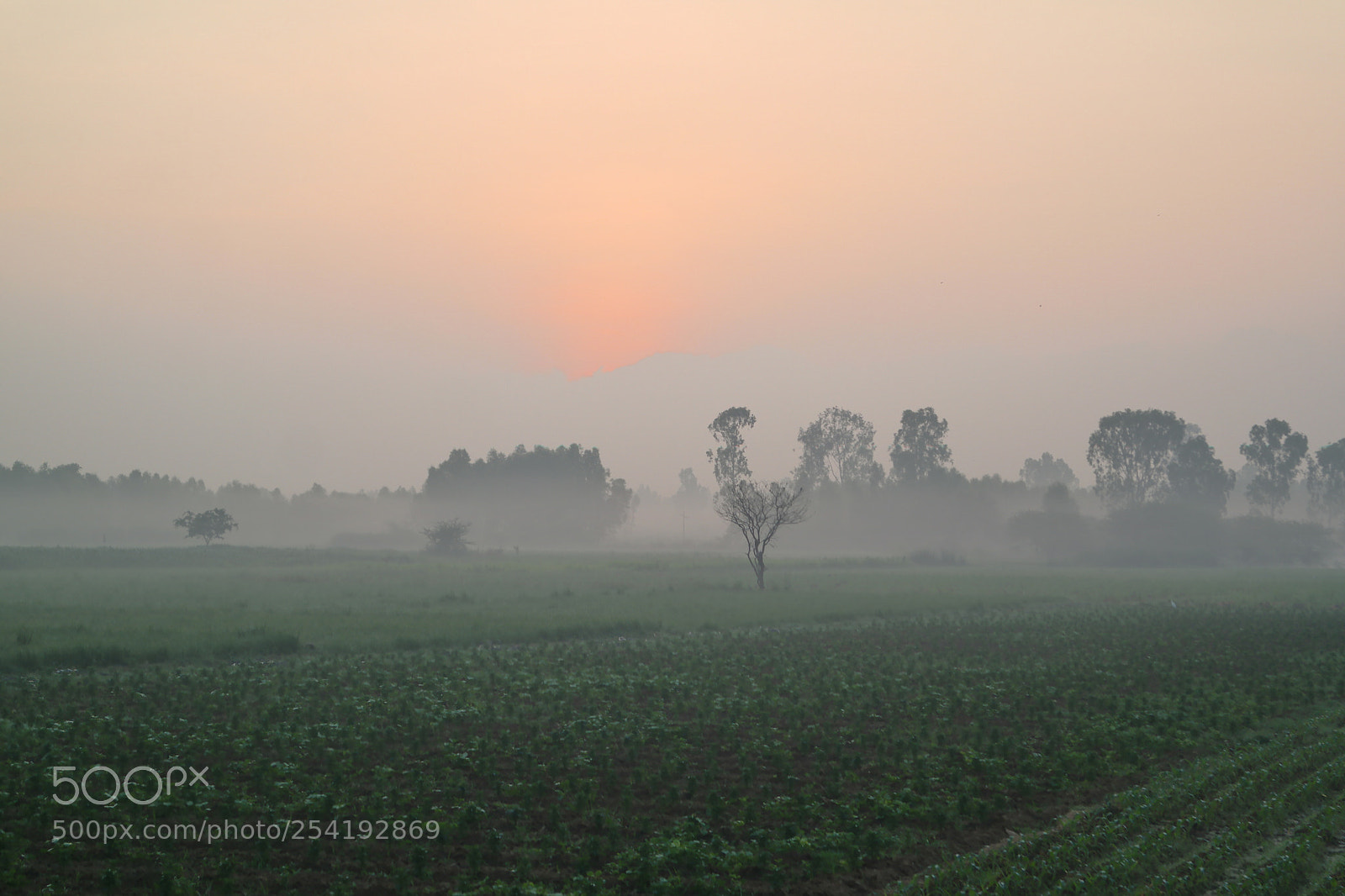 Samsung NX2000 sample photo. Morning ride , belthur village photography