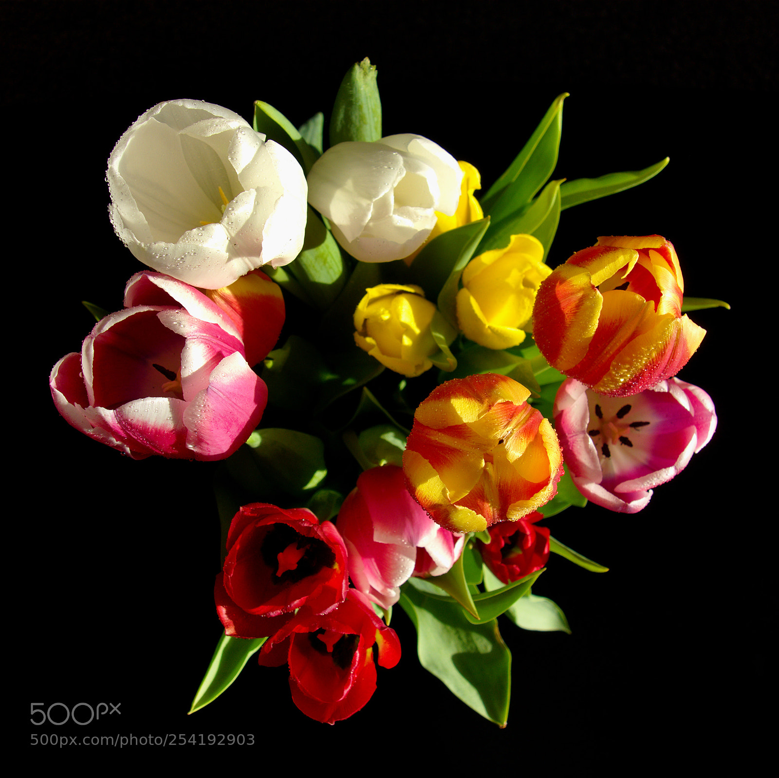 Sony Cyber-shot DSC-RX100 sample photo. Tulips bouqet rainbow photography