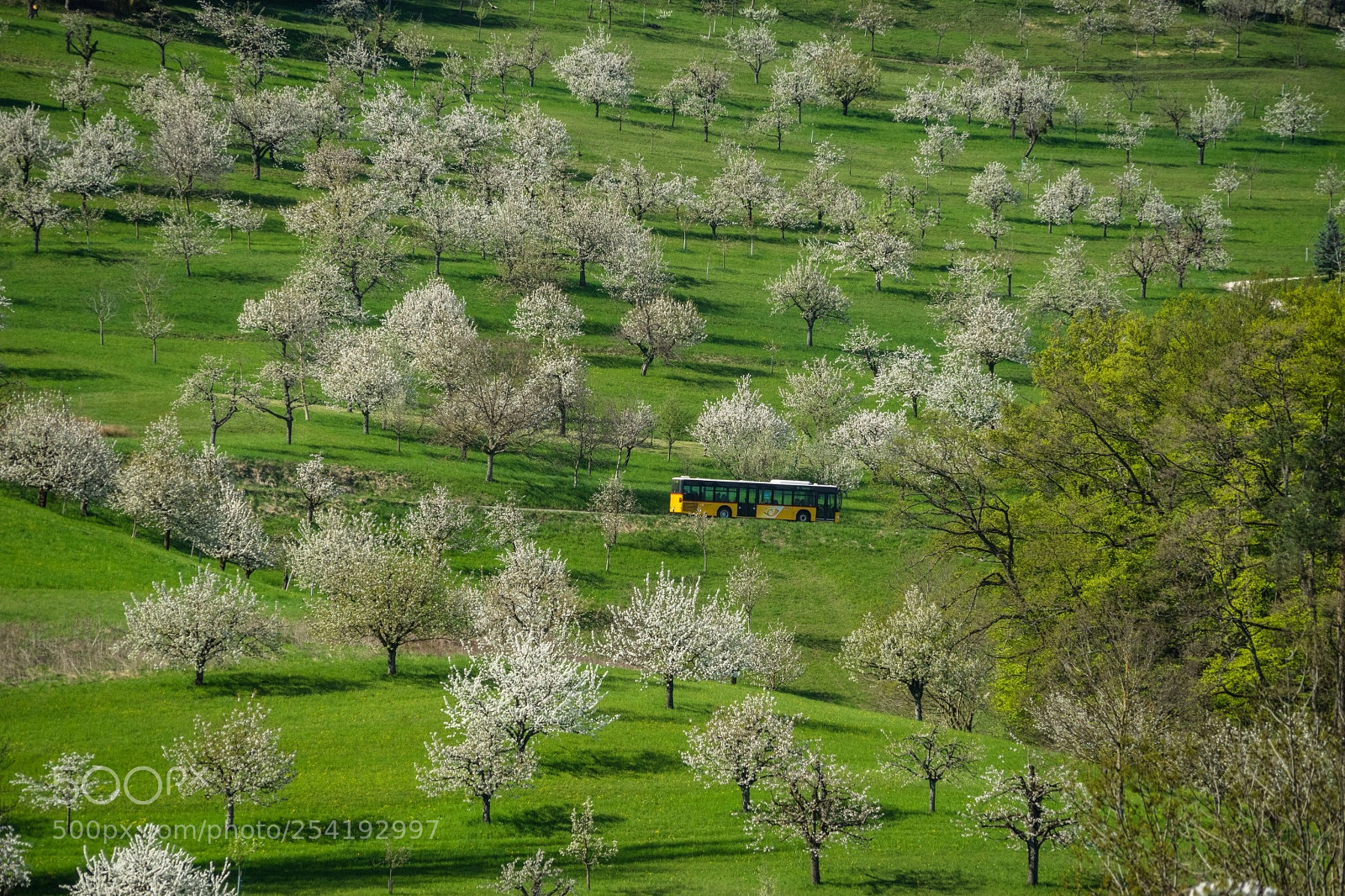 Sony a7 II sample photo. Lrkl photography