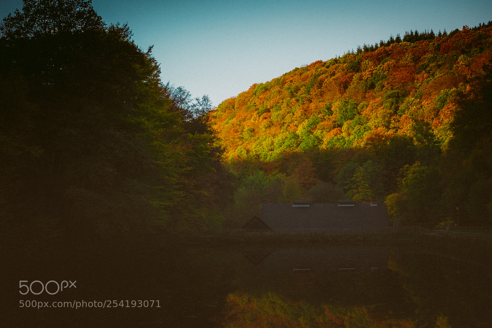 Fujifilm X-Pro1 sample photo. Into the wild photography