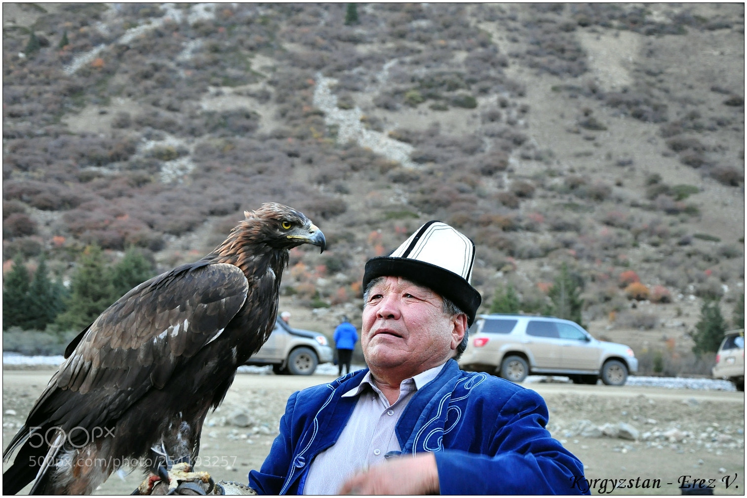 Nikon D90 sample photo. Eagle hunter photography
