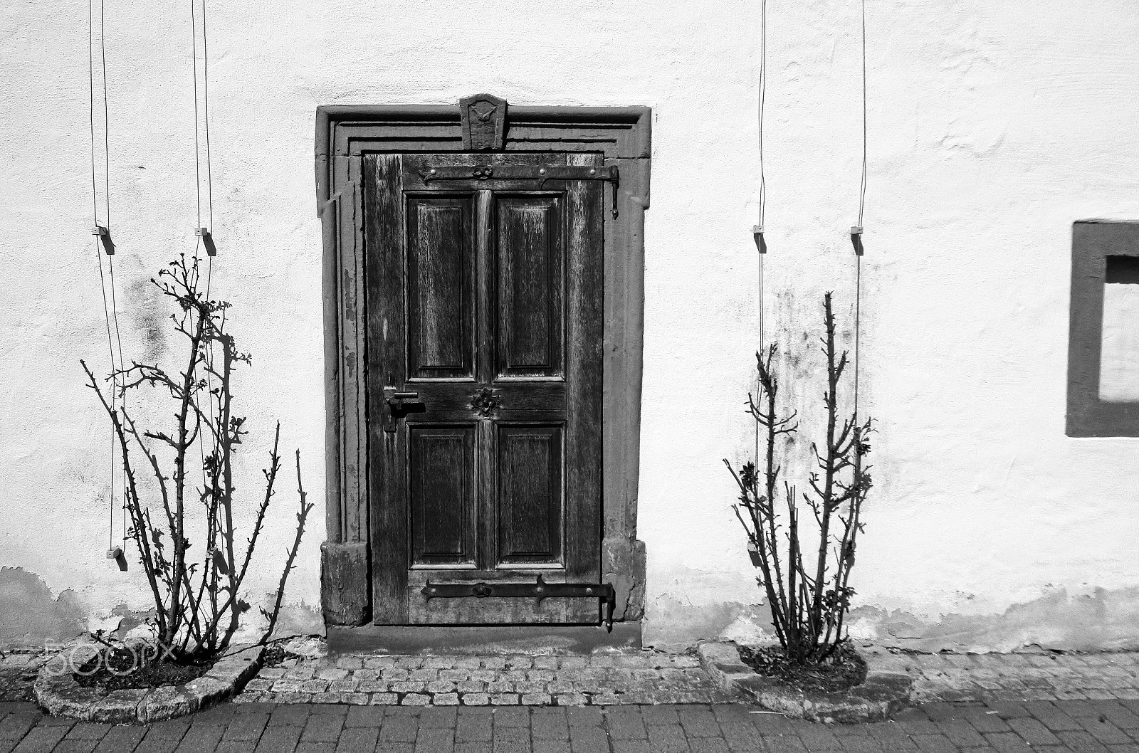 Canon IXUS 190 sample photo. Door between roses photography