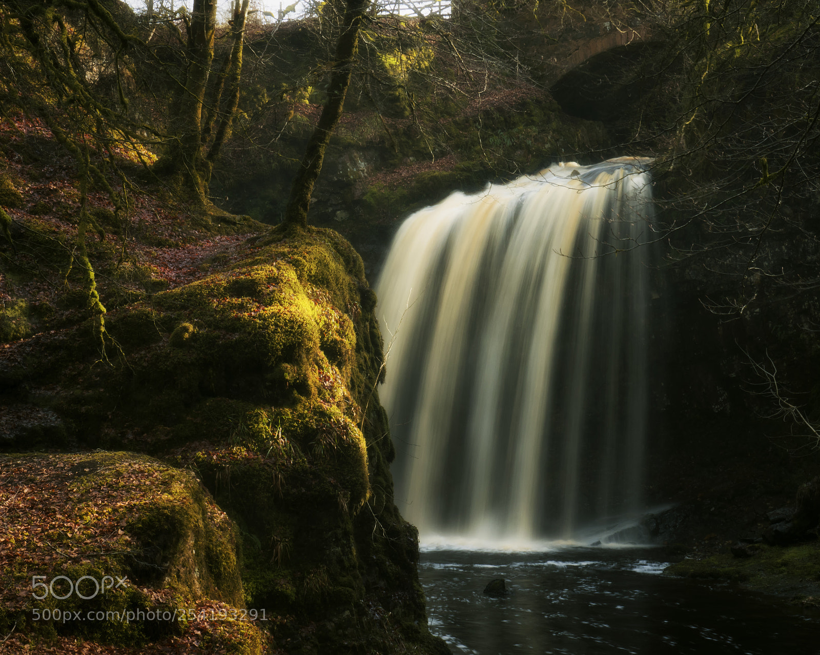 Olympus OM-D E-M5 II sample photo. Dalcairney falls doon valley photography