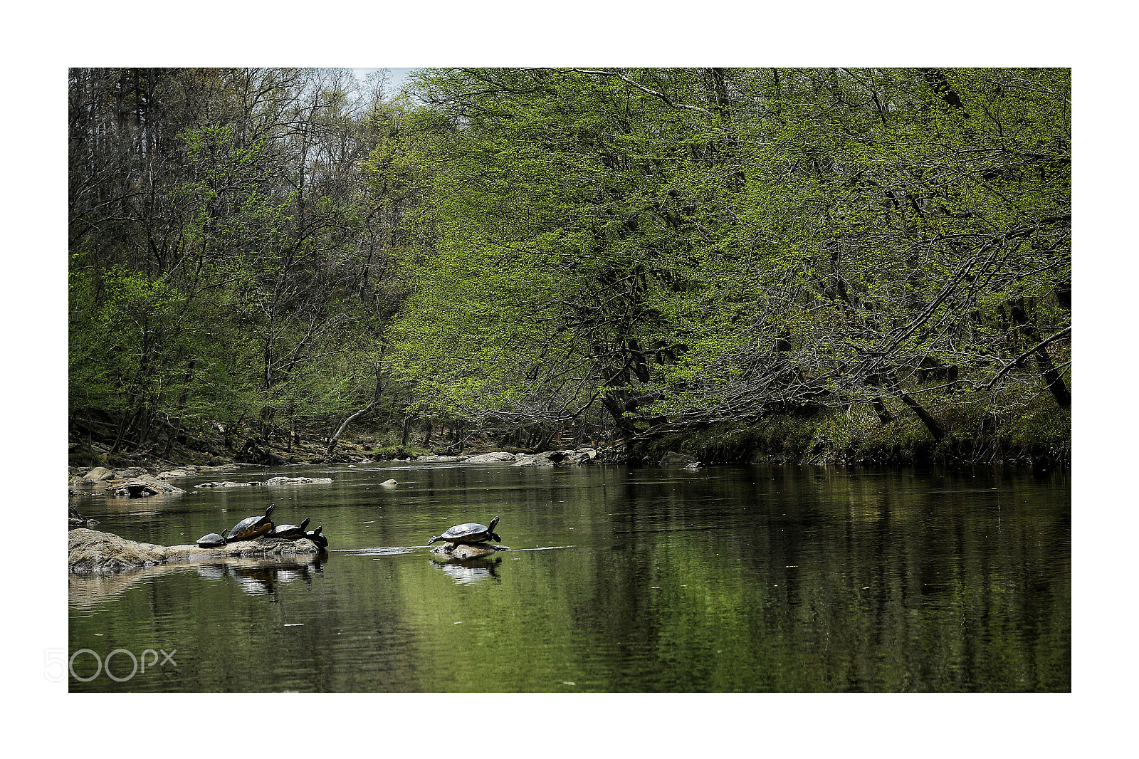 Canon EOS 70D sample photo. Untitled photography