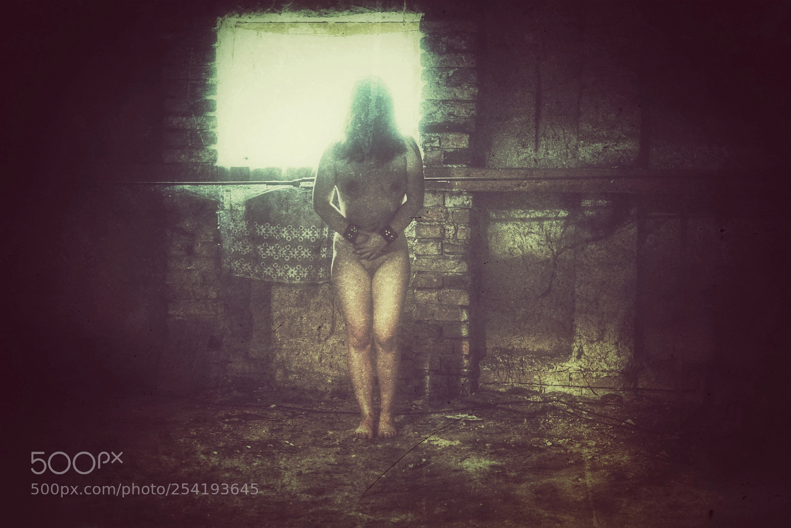Nikon D810 sample photo. Untitled photography
