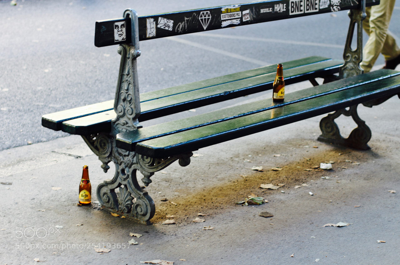 Canon EOS 100D (EOS Rebel SL1 / EOS Kiss X7) sample photo. Paris bench photography