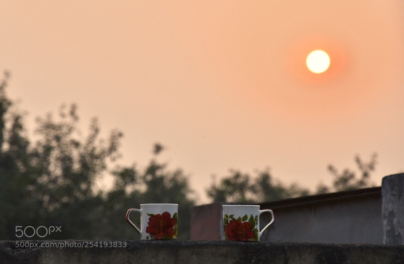 Nikon D7200 sample photo. Evening tea photography