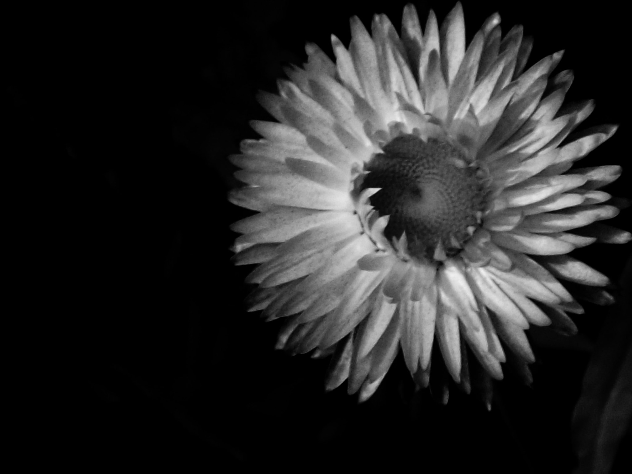 Fujifilm A170 A180 sample photo