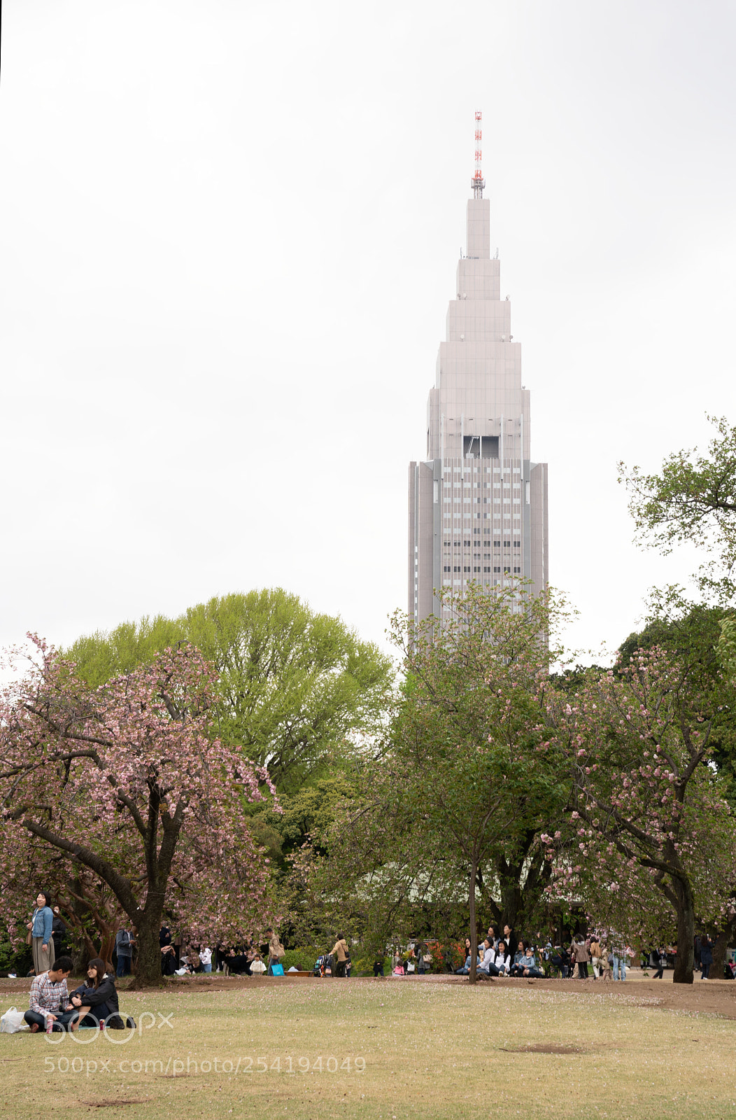 Sony a9 sample photo. On the park photography
