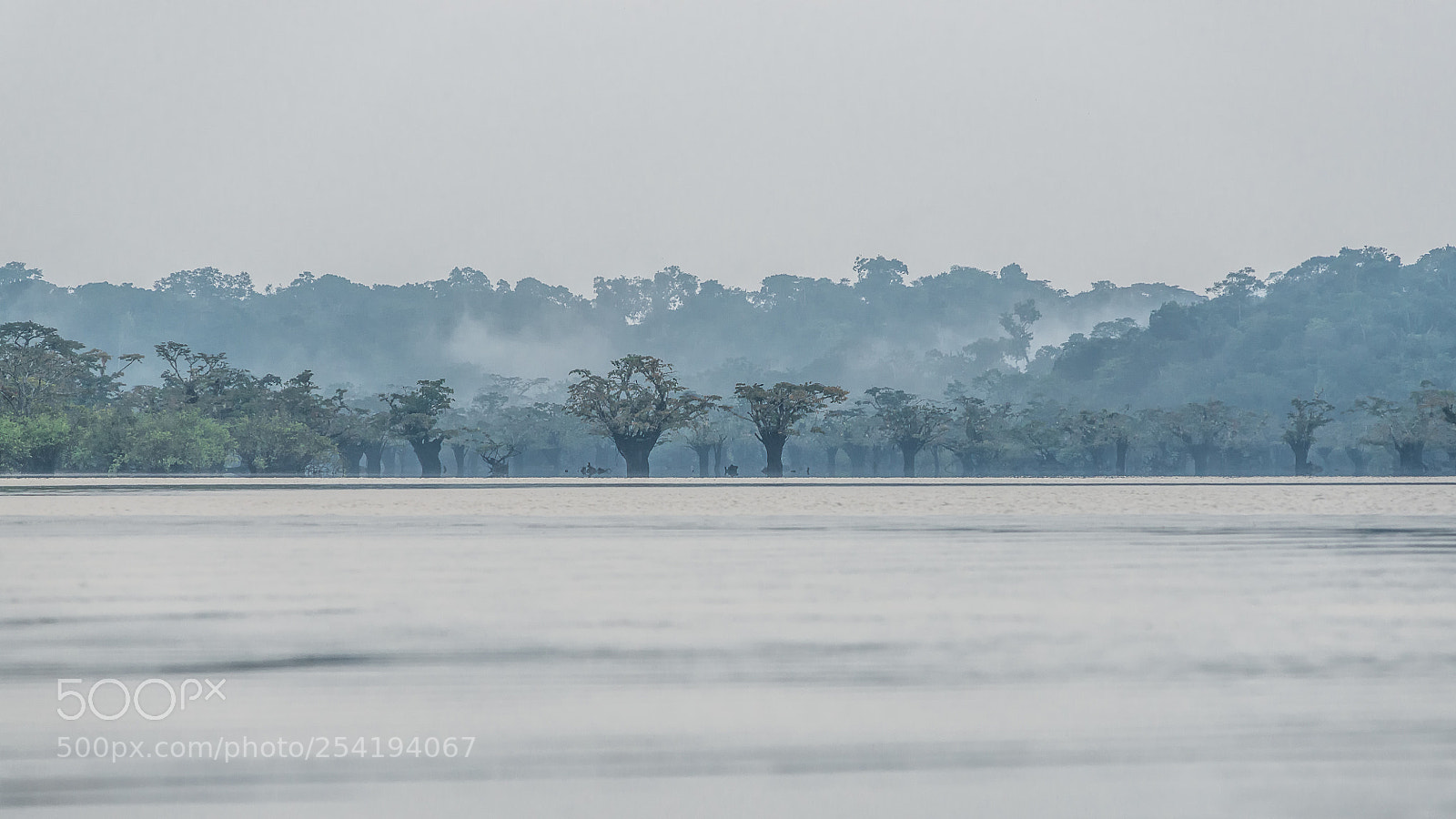 Nikon D800E sample photo. Minimaliste-laguna grande cuyabeno photography