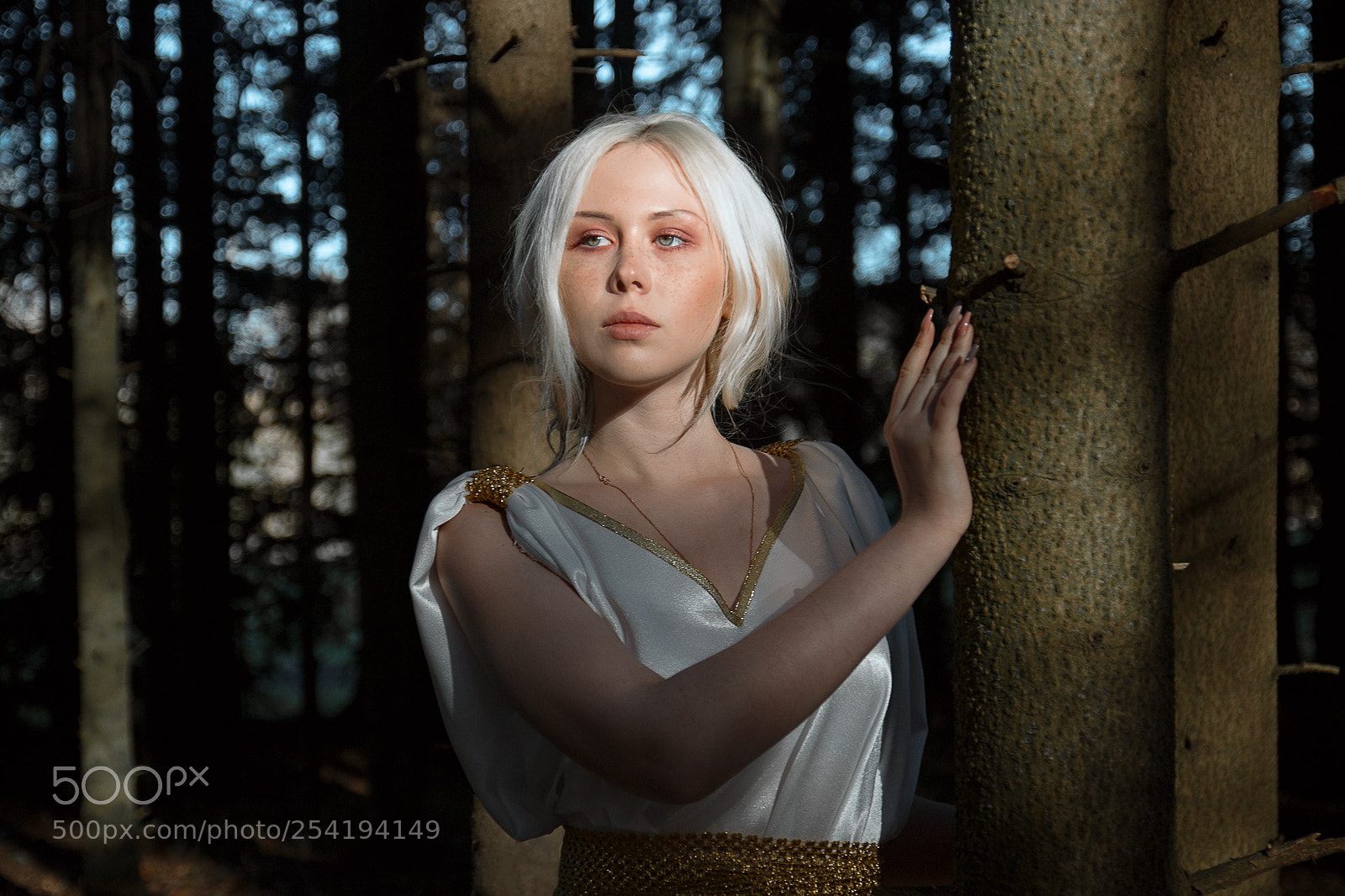 Canon EOS 70D sample photo. копия photography