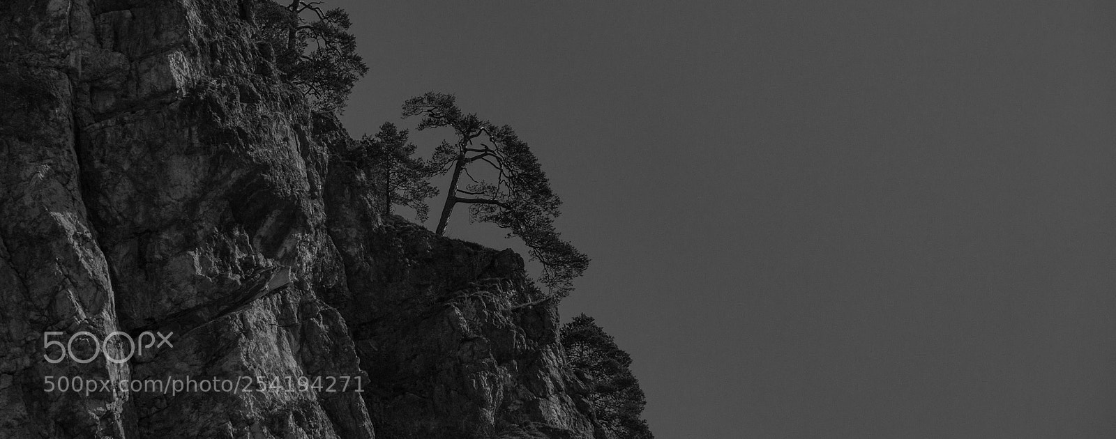 Canon EOS 60D sample photo. Tormäuer photography