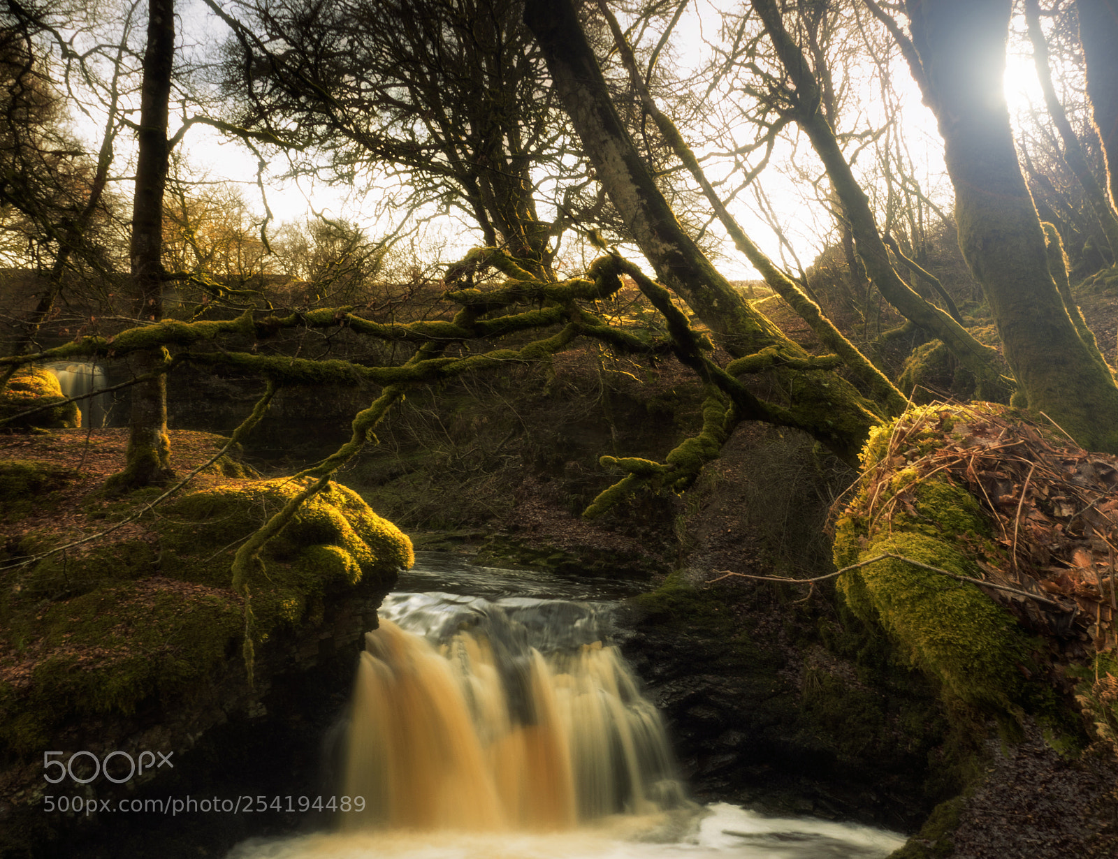 Olympus OM-D E-M5 II sample photo. Dalcairney falls doon valley photography