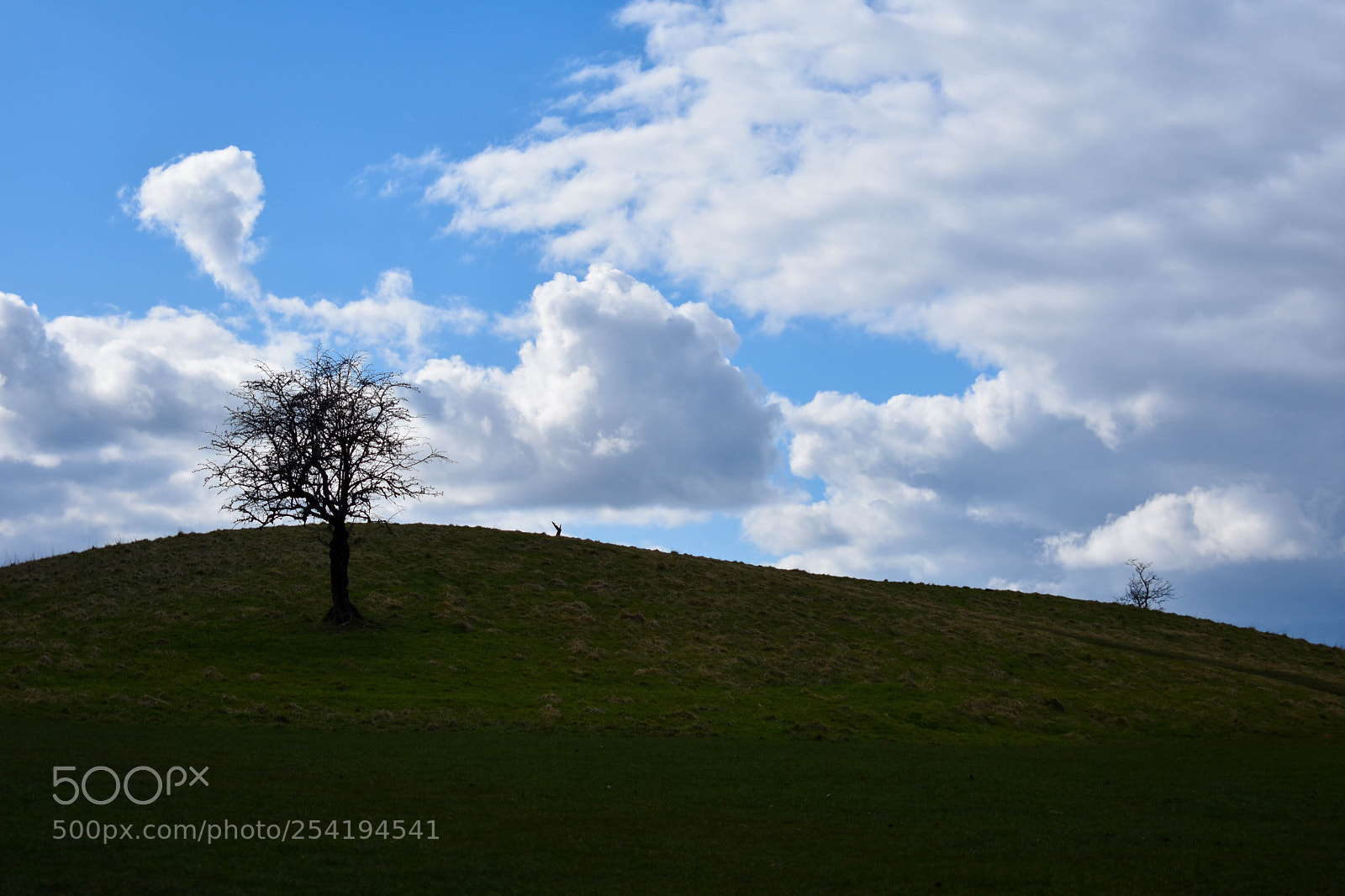 Nikon D3400 sample photo. Heaven, is that you? photography