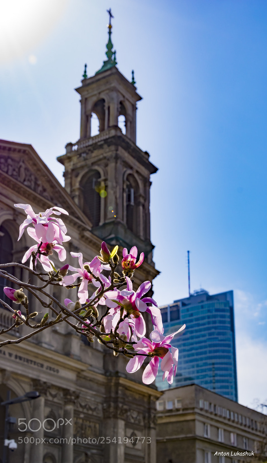 Nikon D5300 sample photo. Flowers and church photography
