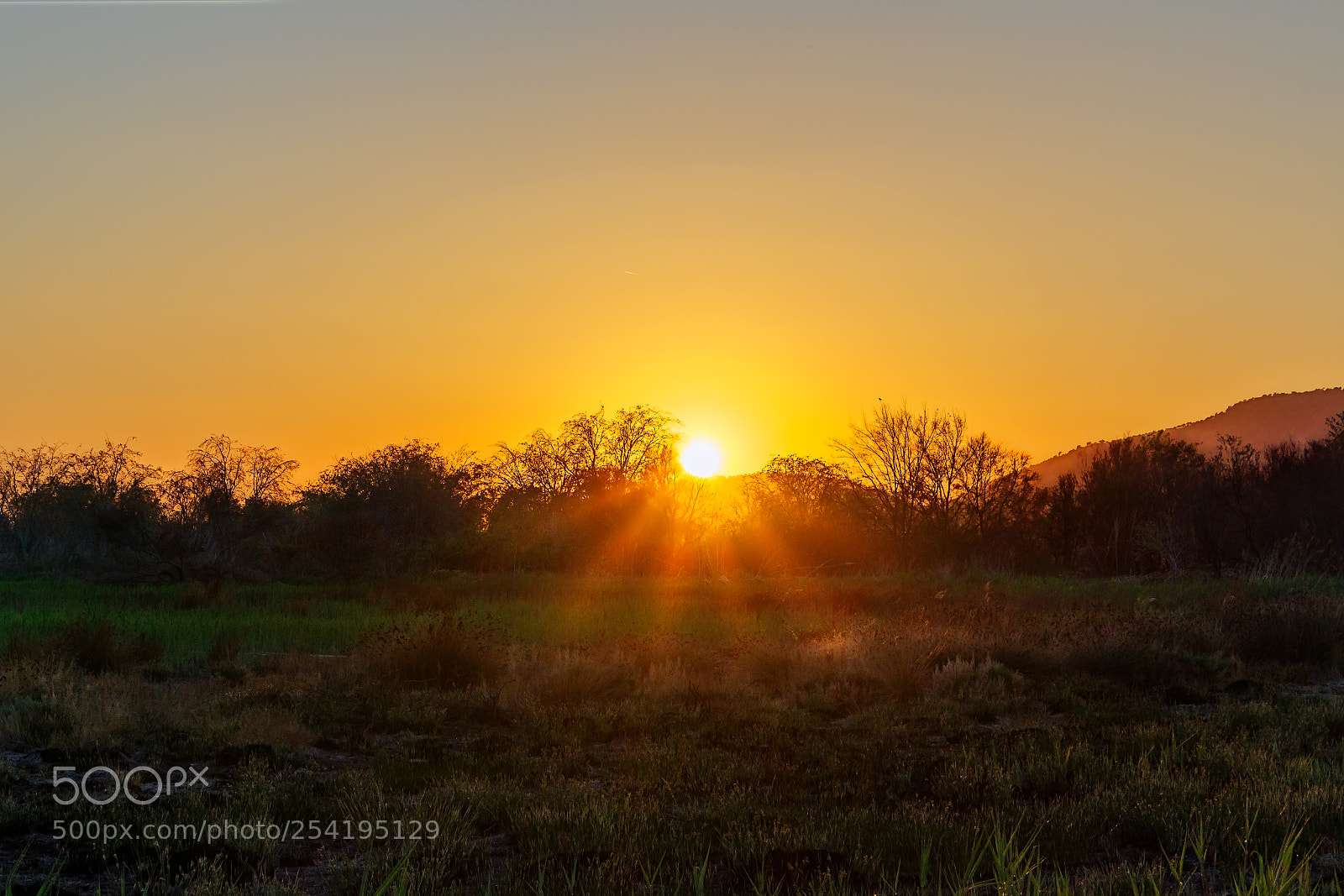 Canon EOS 700D (EOS Rebel T5i / EOS Kiss X7i) sample photo. Marjal del moro sunstar photography