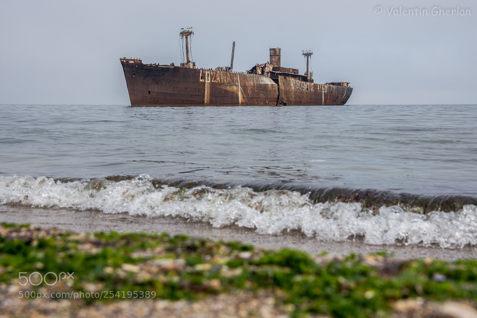 Nikon D7200 sample photo. Relax photography