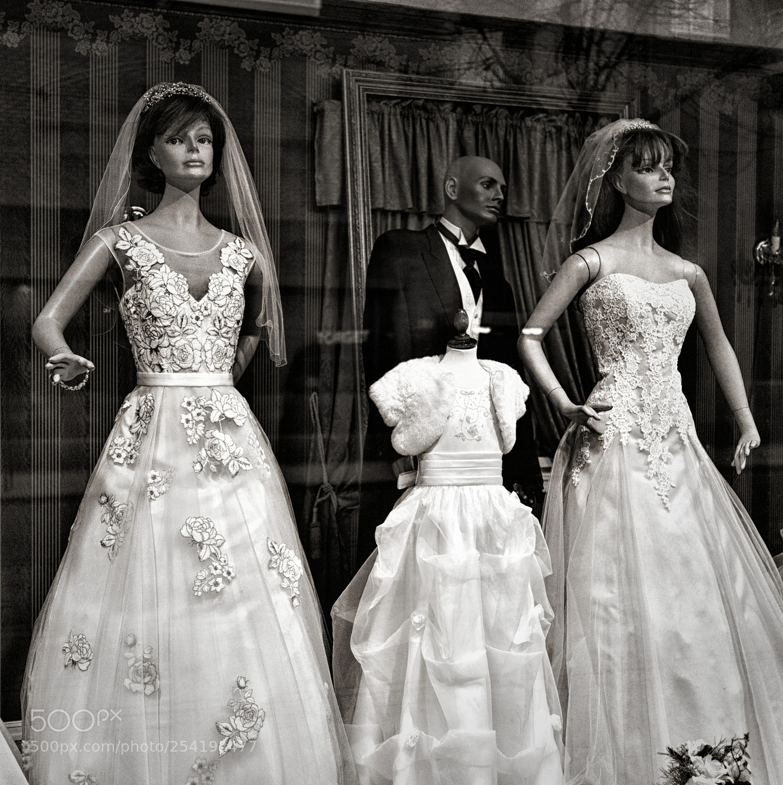 Olympus OM-D E-M10 II sample photo. Headless photography