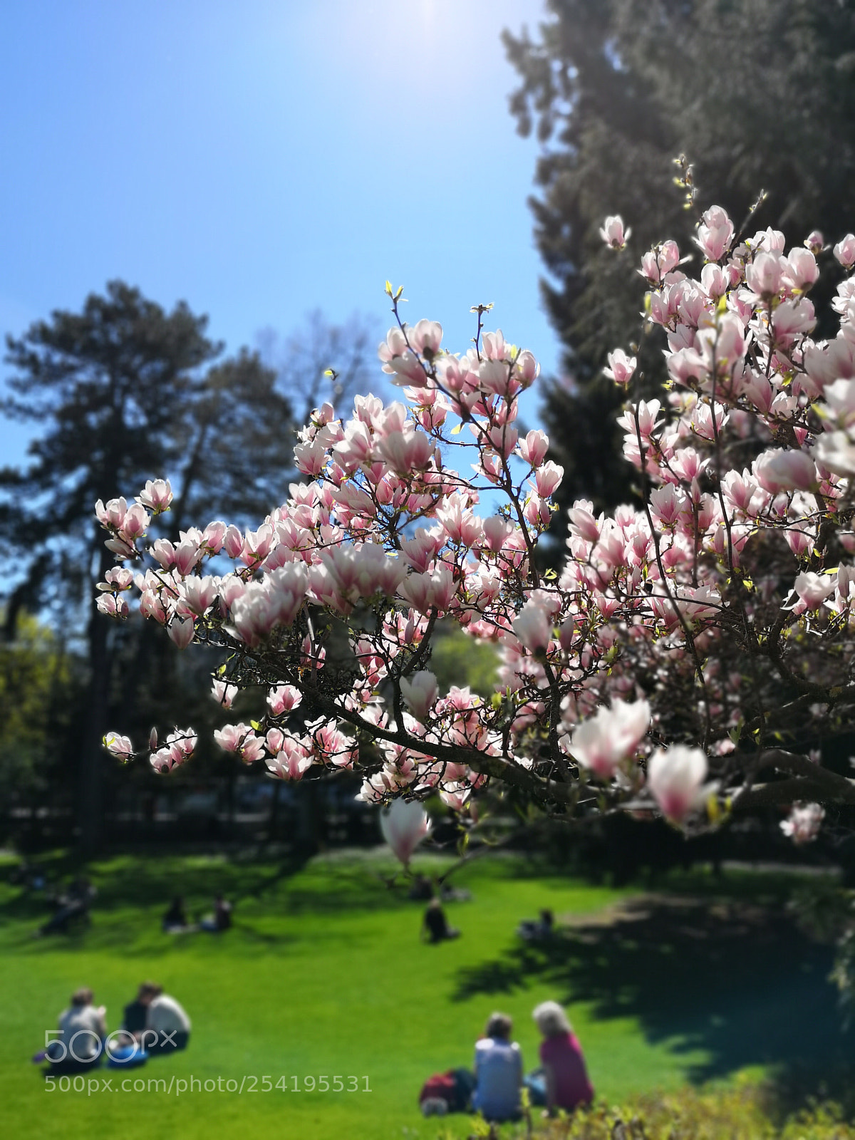 HUAWEI CLT-L29 sample photo. Playing with my new photography