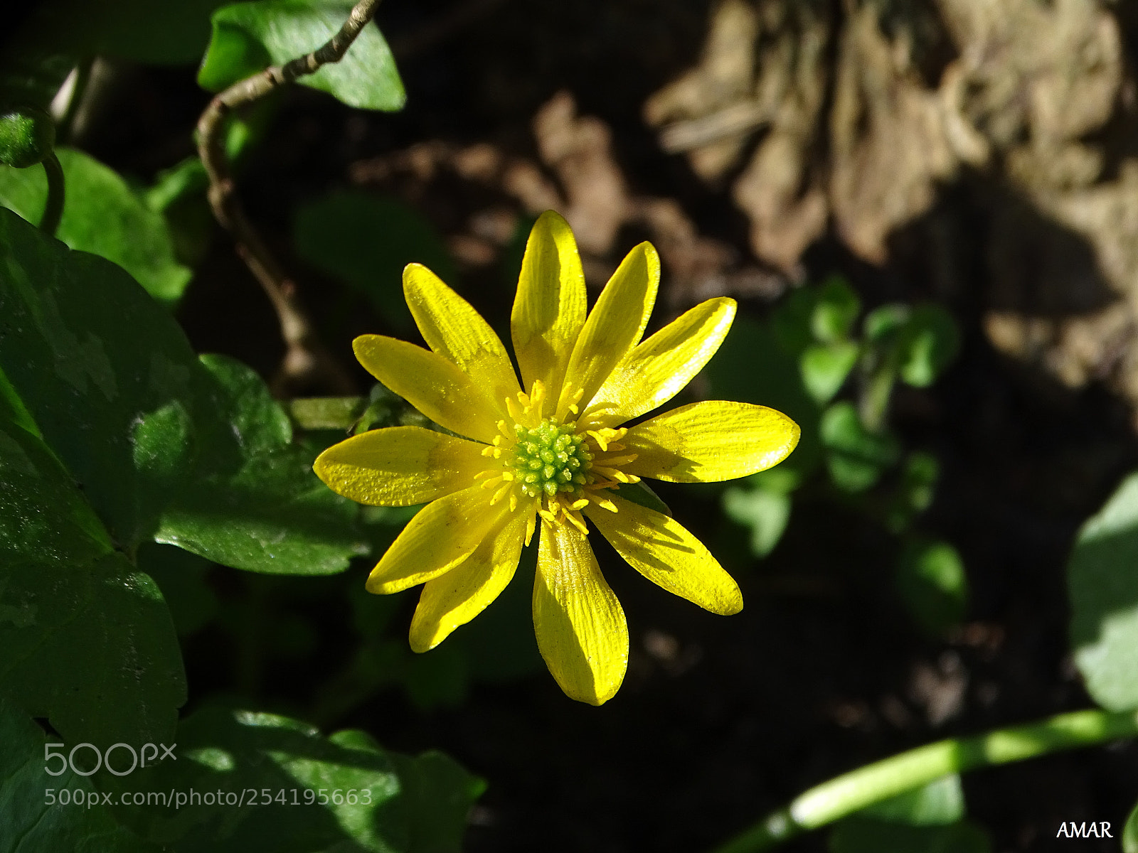 Sony Cyber-shot DSC-HX400V sample photo. Finally spring photography