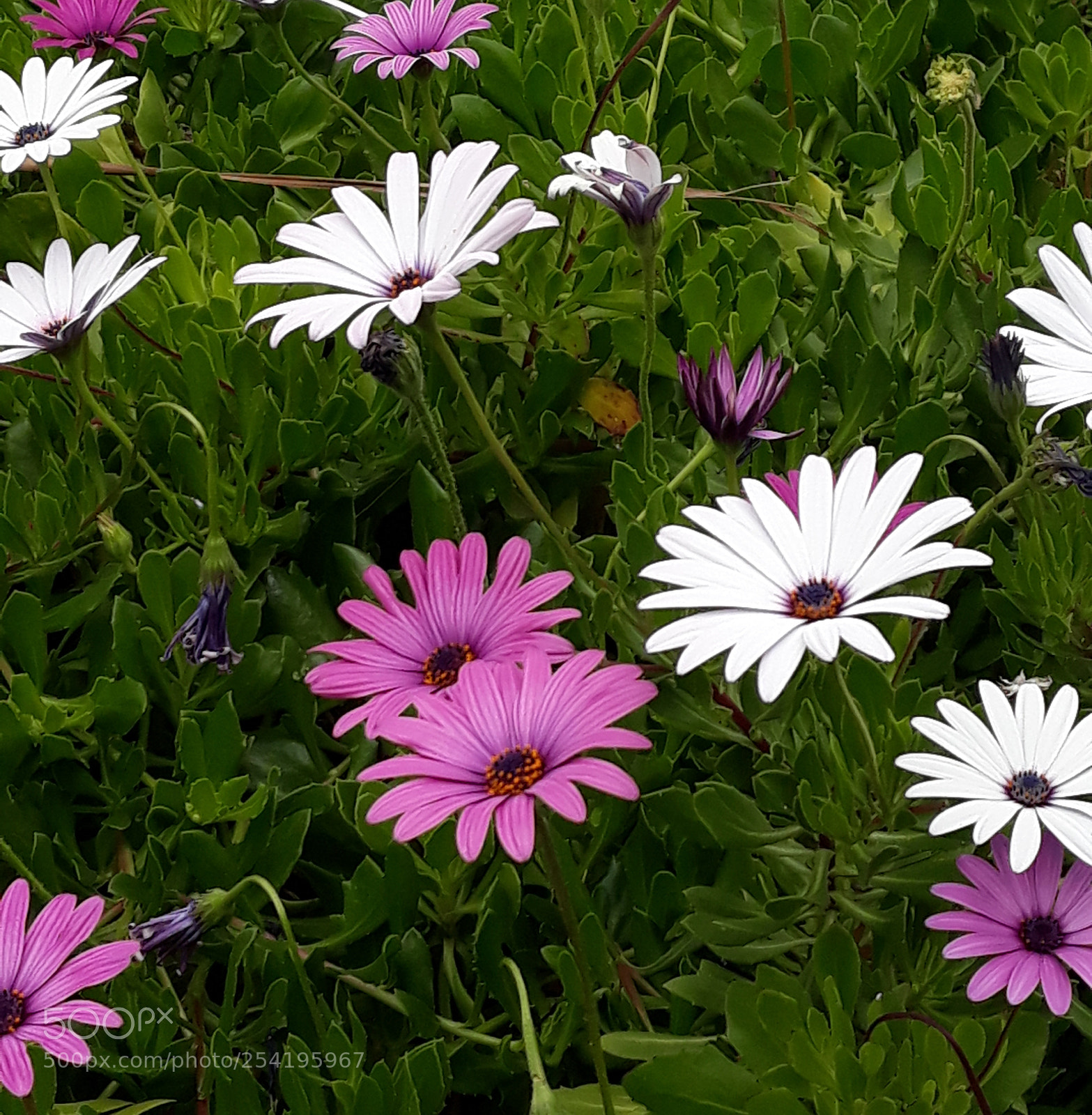 Samsung Galaxy J7 sample photo. Untitled photography