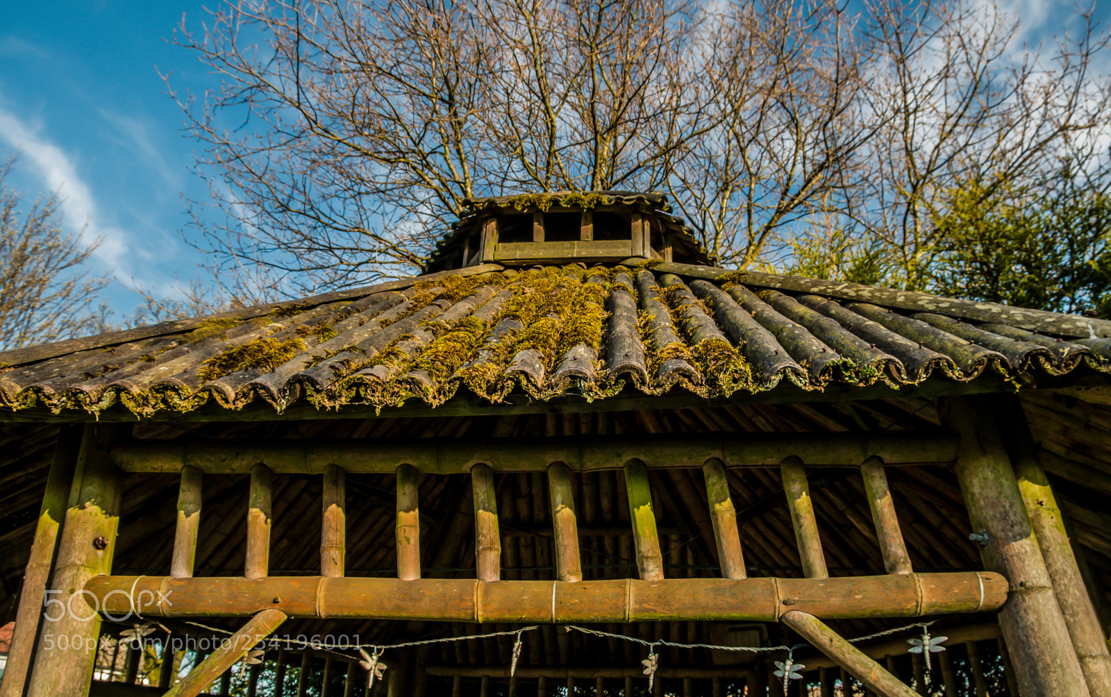 Canon EOS 70D sample photo. Bamboo roof photography