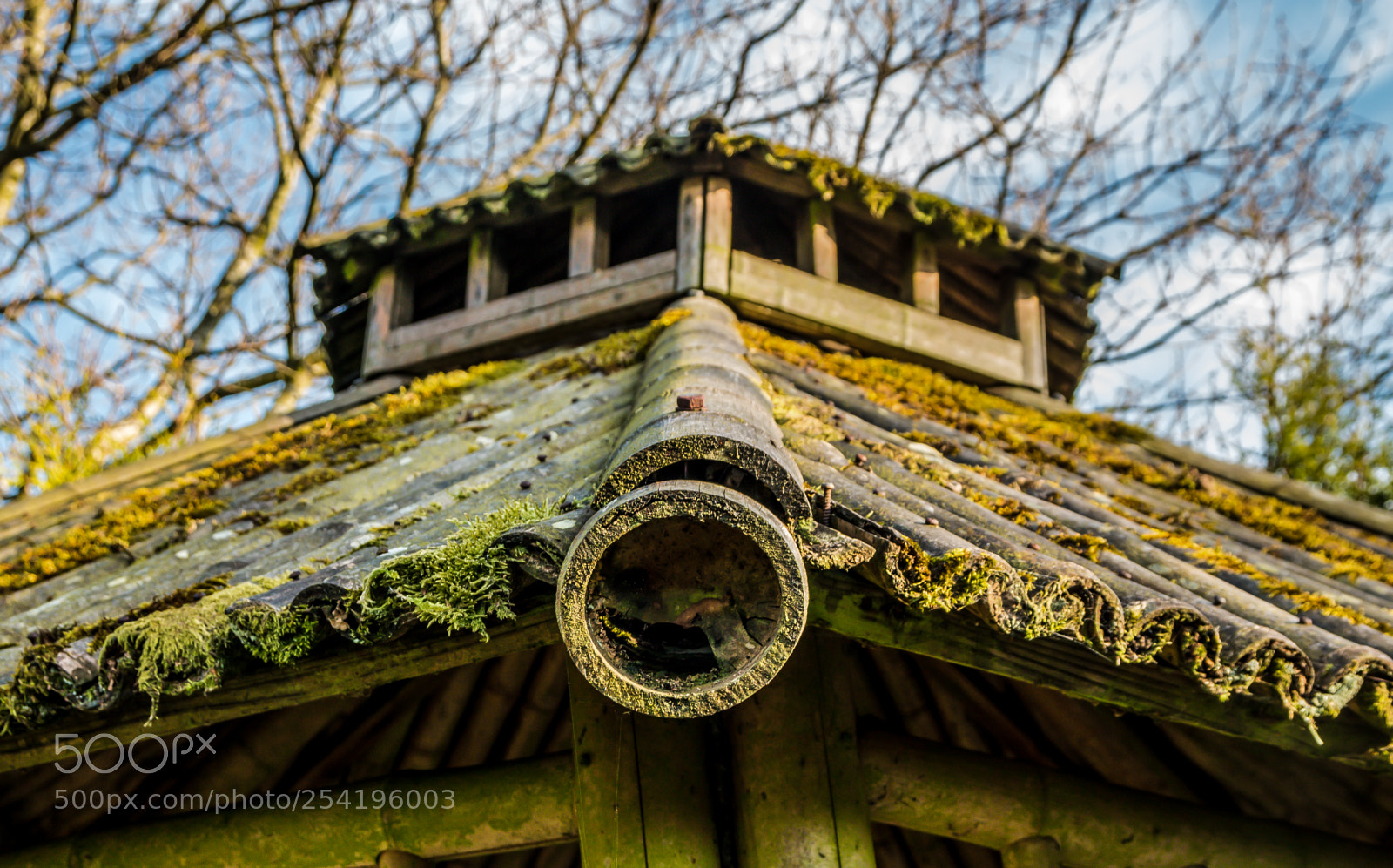 Canon EOS 70D sample photo. Bamboo shed photography