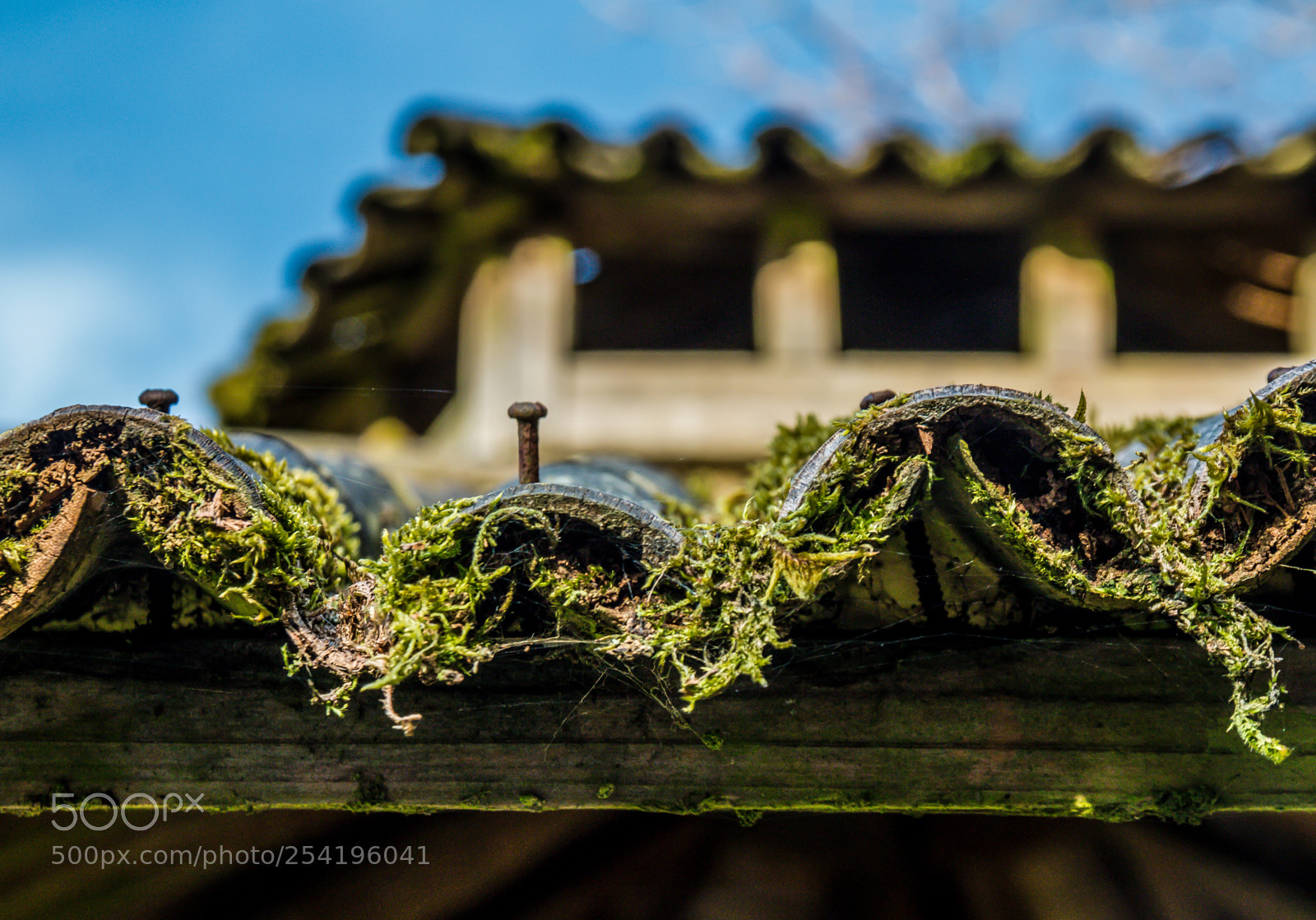Canon EOS 70D sample photo. Roof and nail photography