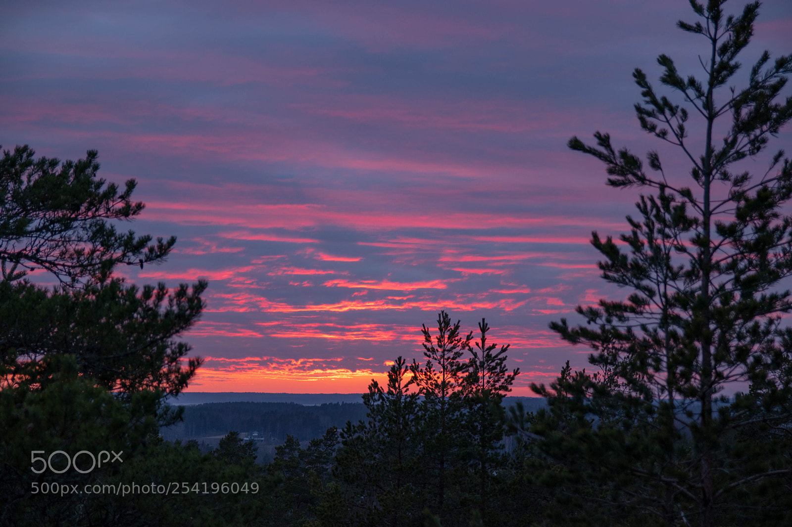 Canon EOS 80D sample photo. Sunset tonight photography