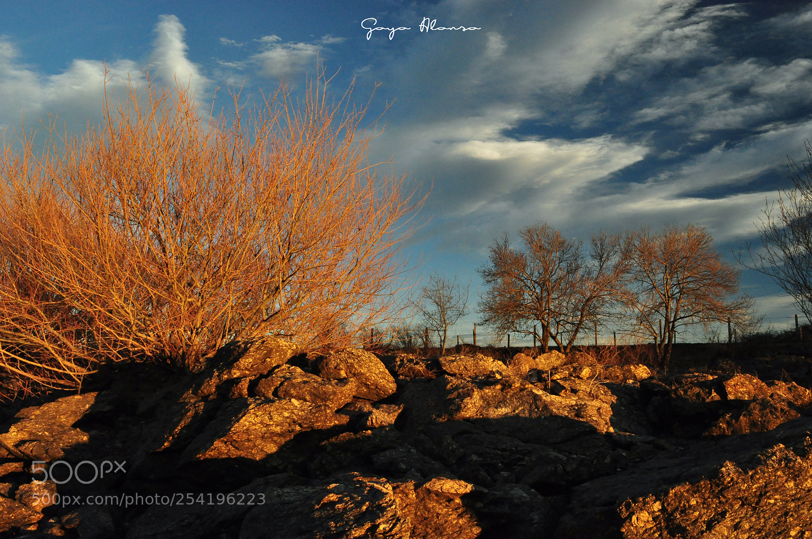 Nikon D5000 sample photo. Luces de la tarde photography