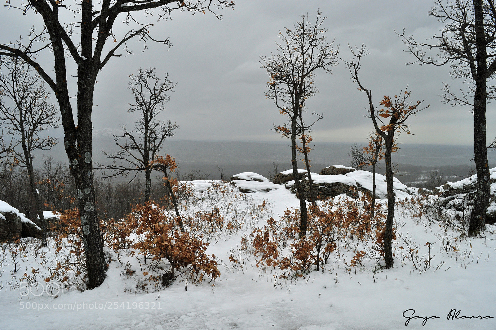 Nikon D5000 sample photo. Invernal photography