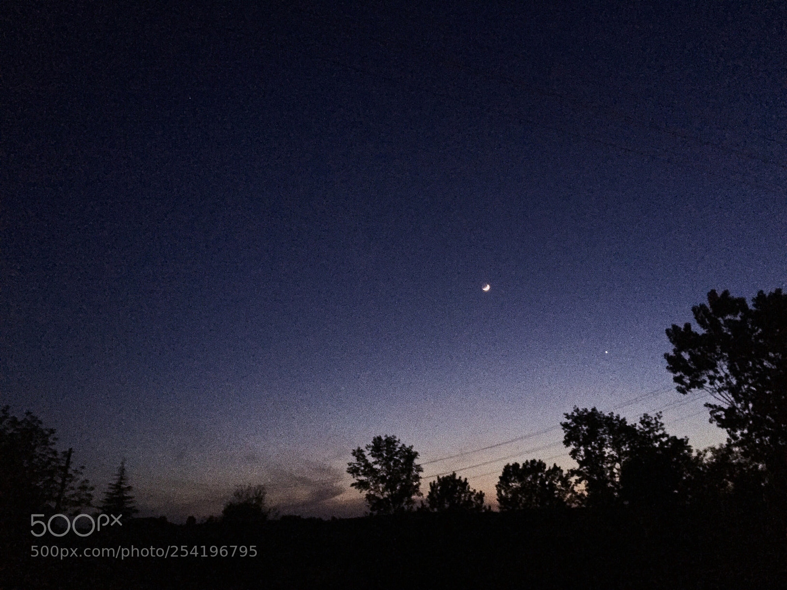 Apple iPhone 6 sample photo. Untitled photography