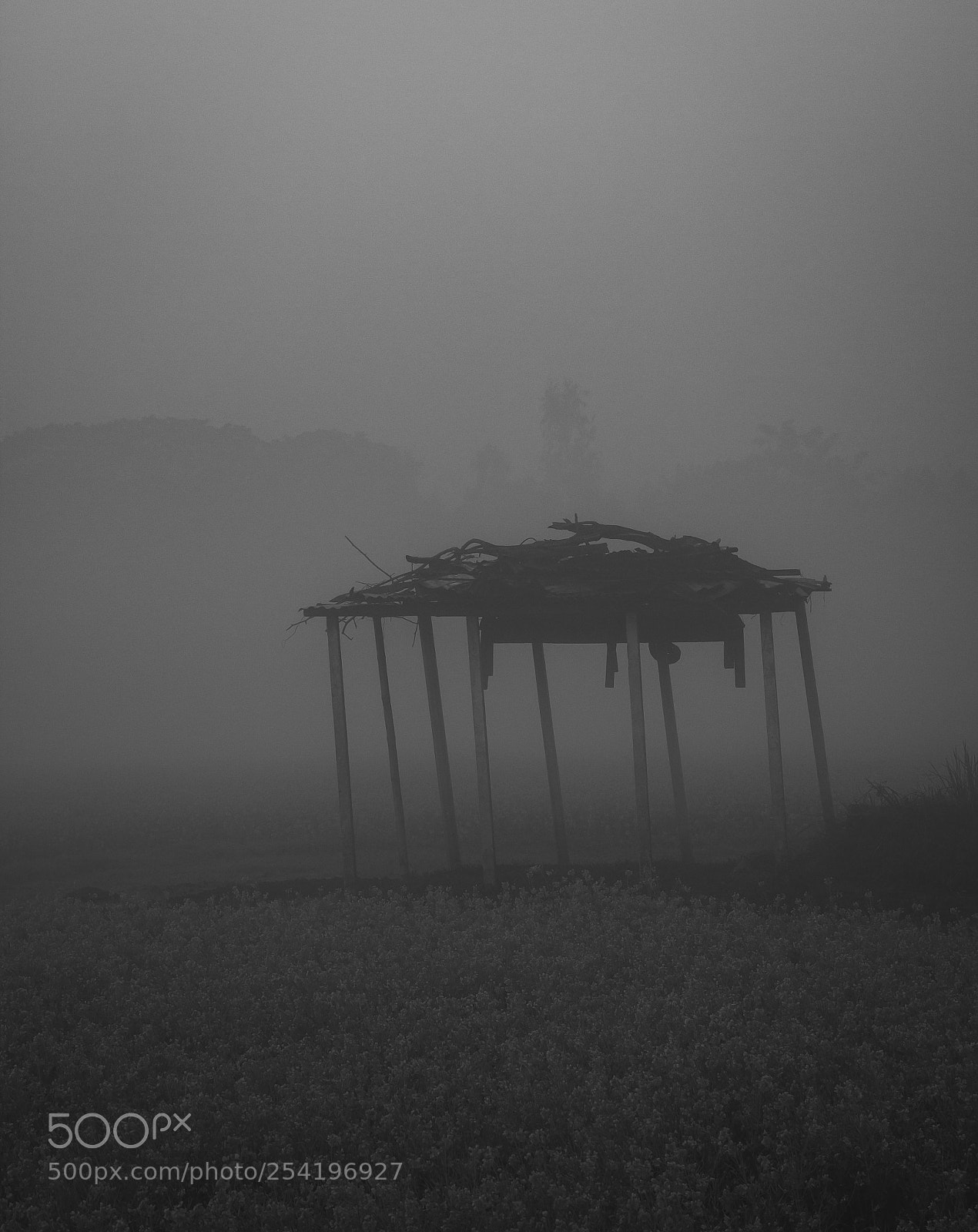 Canon EOS 70D sample photo. B&w morning part 1 photography